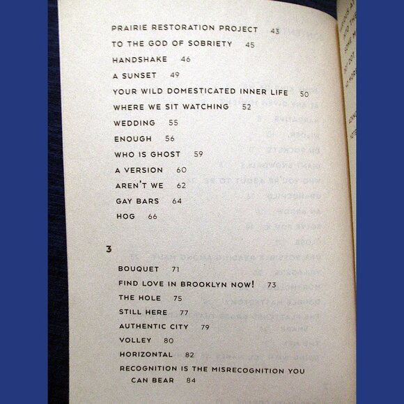 Book - Anybody: Poems, by Ari Banias - Picture 6 of 10